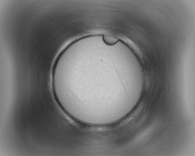 X0000115151286200911241521