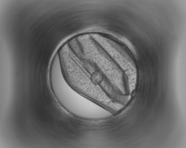 X0000115151288200911241521