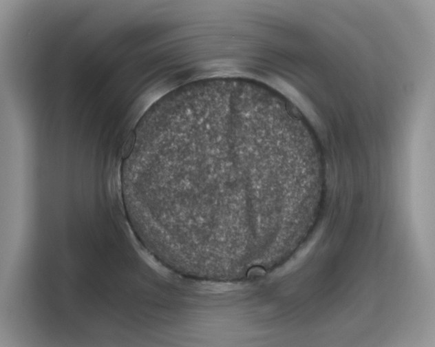 X0000115151289200911241521