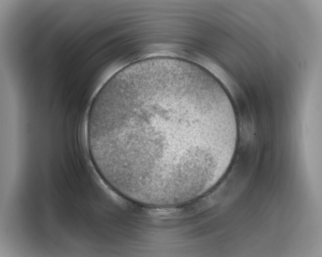 X0000115151290200911241521