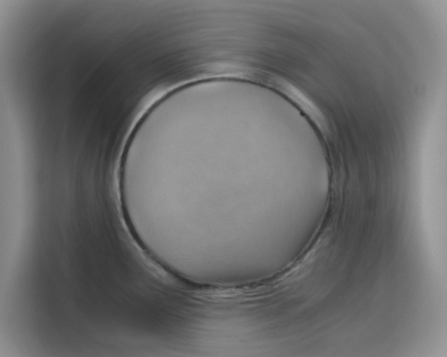 X0000115151291200911241521