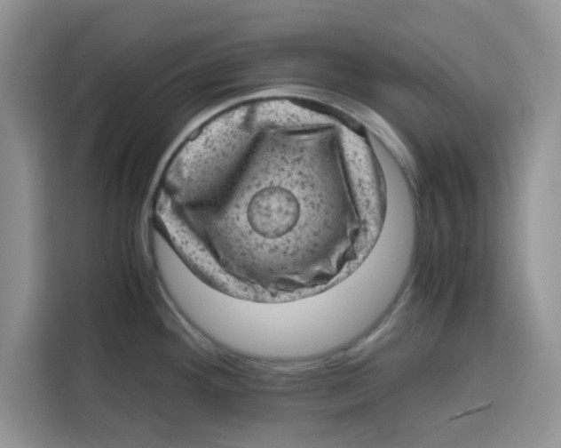 X0000115151292200911241521