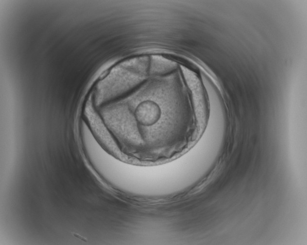 X0000115151293200911241521