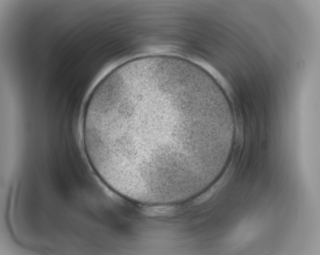 X0000115151294200911241521