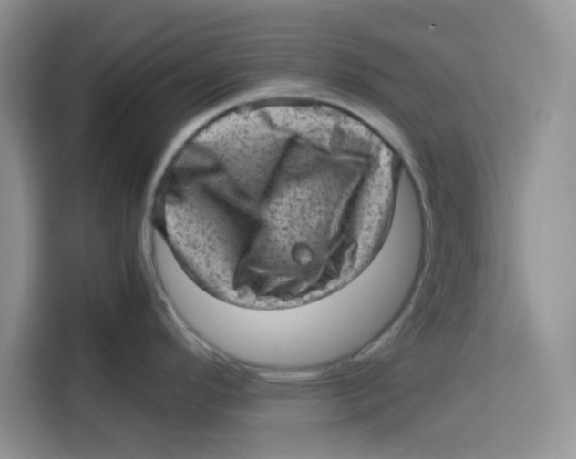 X0000115151296200911241521