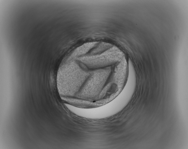 X0000115151298200911241520