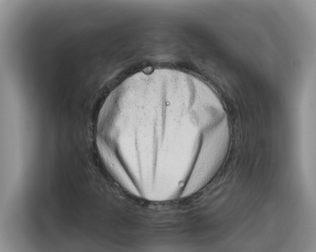 X0000115151301200911241520