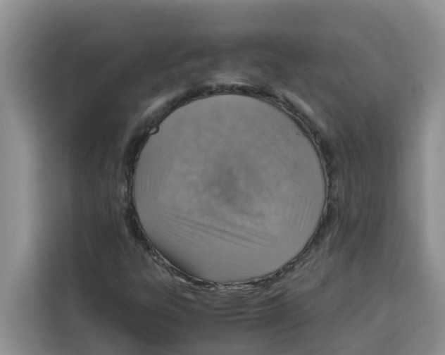 X0000115151303200911241520