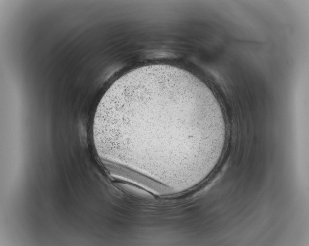 X0000115151305200911241520