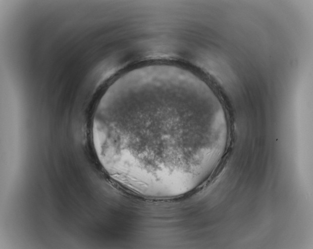 X0000115151306200911241520