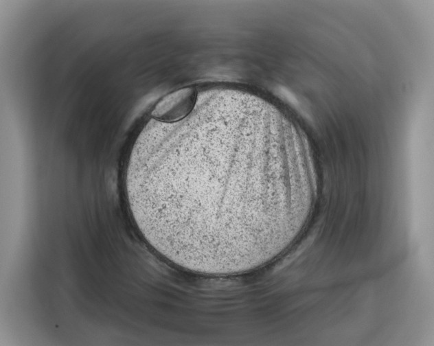 X0000115151307200911241520