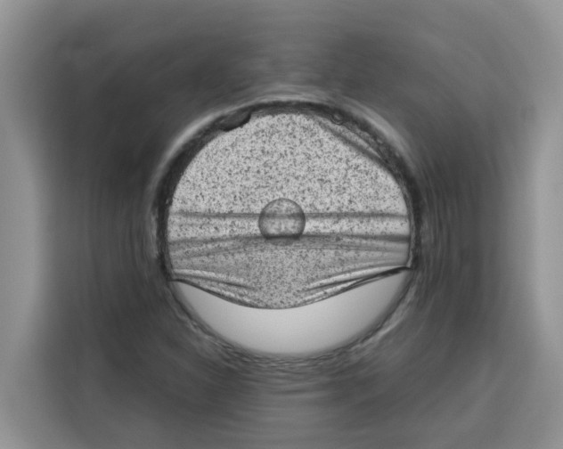 X0000115151310200911241520