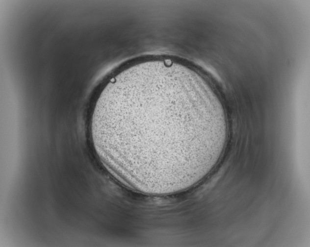 X0000115151311200911241520