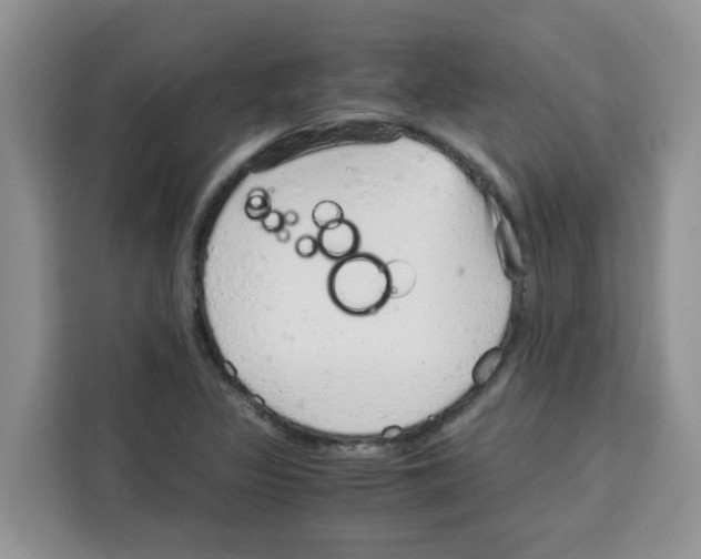 X0000115151317200911241521