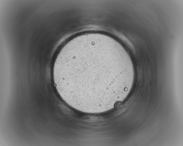 X0000115151318200911241521