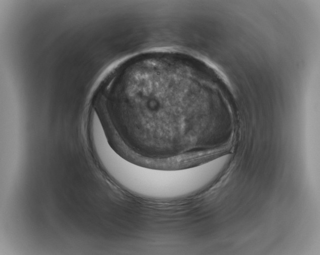 X0000115151319200911241521