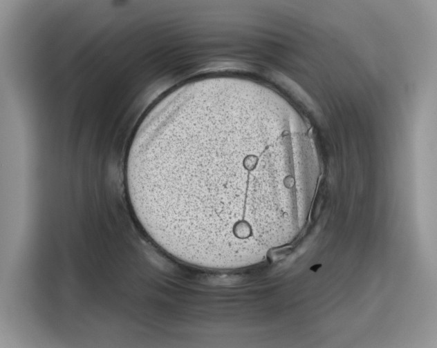 X0000115151321200911241521