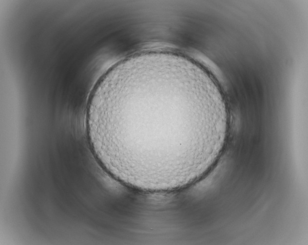 X0000115151322200911241521