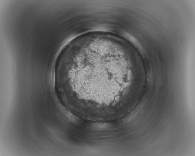 X0000115151323200911241521