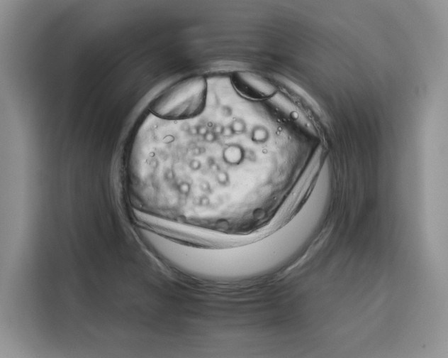 X0000115151325200911241521