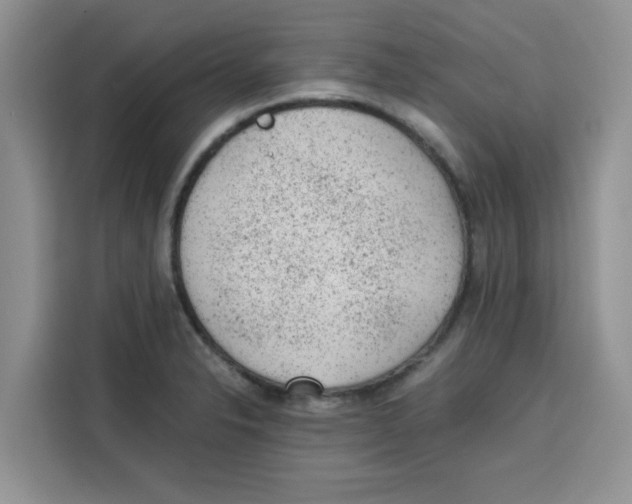 X0000115151326200911241521