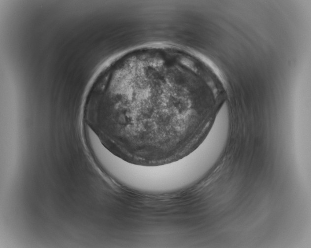 X0000115151327200911241521