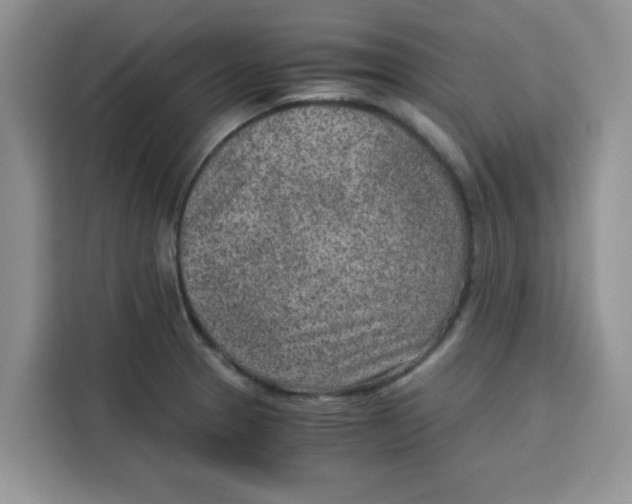 X0000115151329200911241521