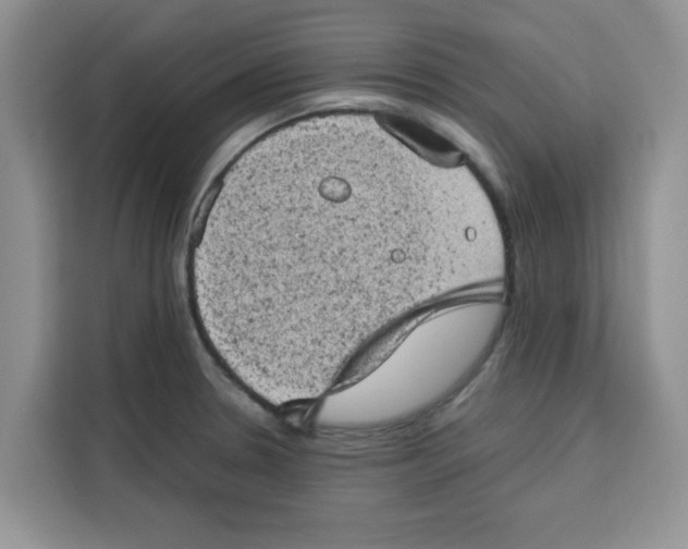 X0000115151330200911241521