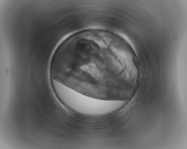 X0000115151331200911241521