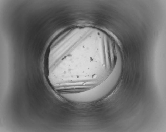 X0000115151333200911241521