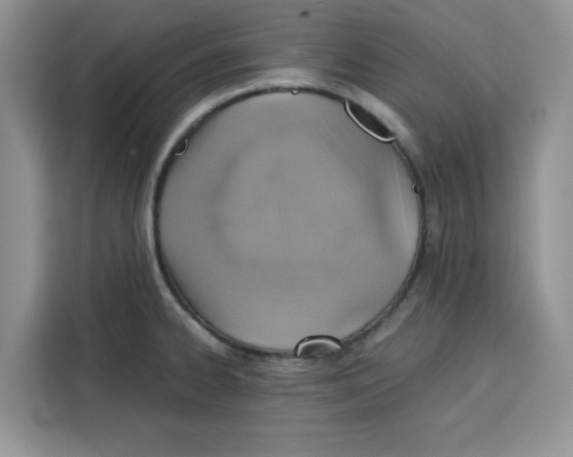 X0000115151334200911241521