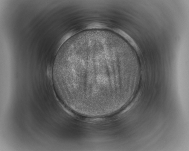 X0000115151337200911241521