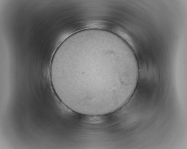 X0000115151338200911241521