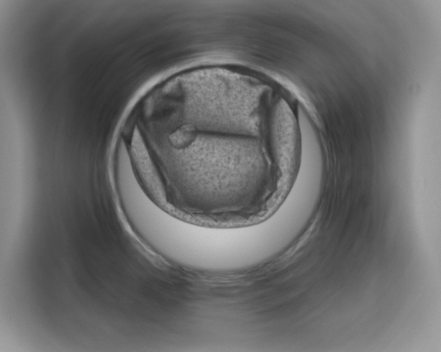 X0000115151342200911241521