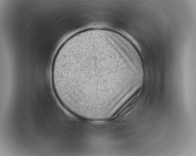 X0000115151343200911241521