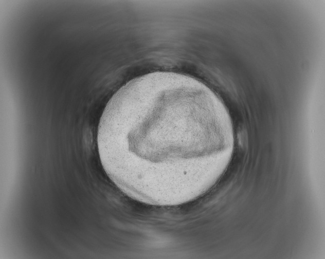 X0000115151347200911241520