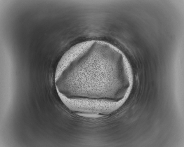 X0000115151348200911241520