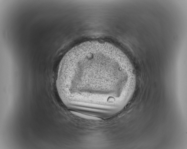 X0000115151349200911241520