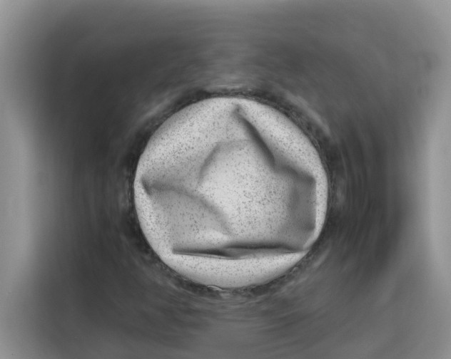 X0000115151350200911241520