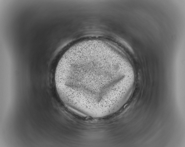 X0000115151352200911241520