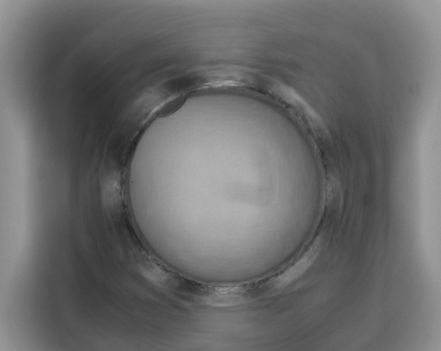 X0000115151353200911241520