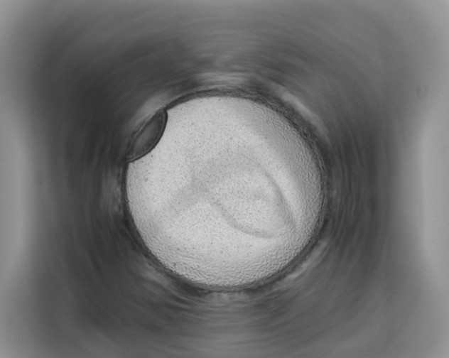 X0000115151354200911241520