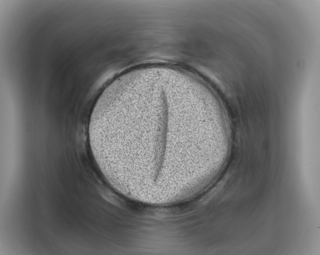 X0000115151355200911241520