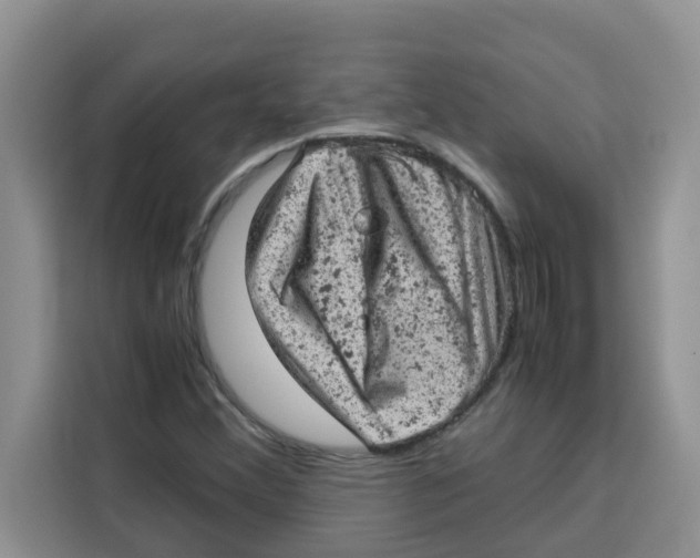 X0000115151356200911241520