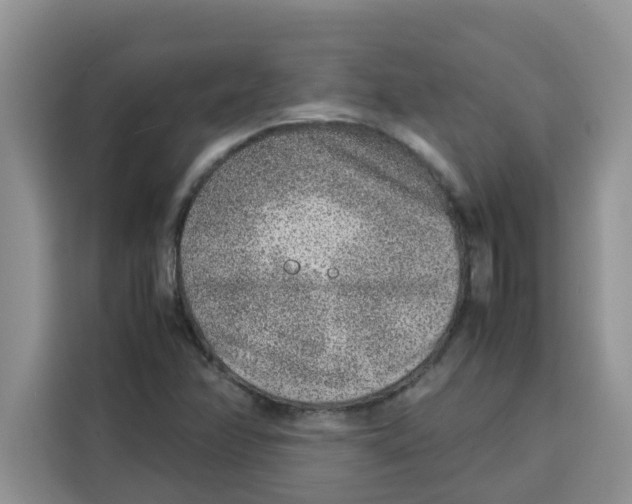 X0000115151358200911241520