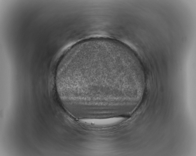 X0000115151359200911241520