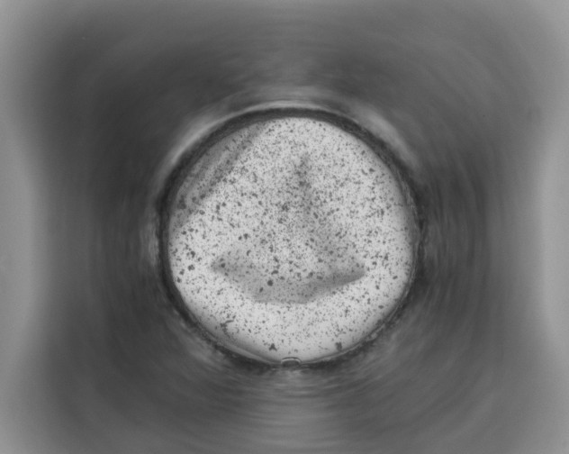 X0000115151360200911241520