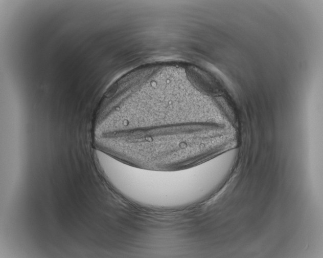 X0000115151361200911241520