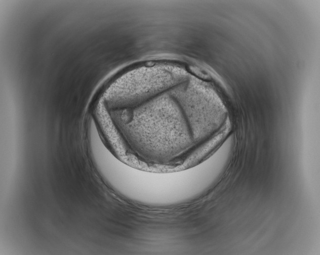 X0000115151364200911241520