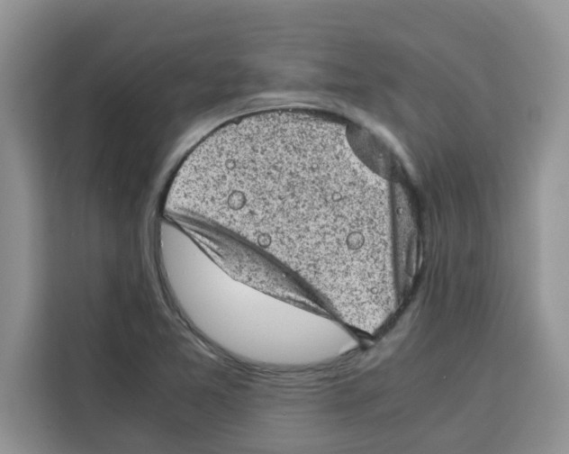 X0000115151365200911241520